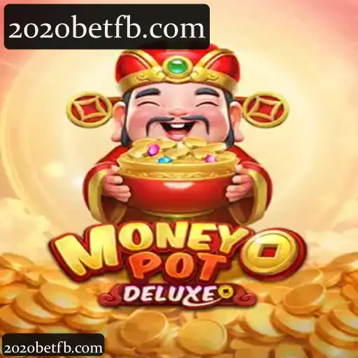 MoneyPotDELUXE